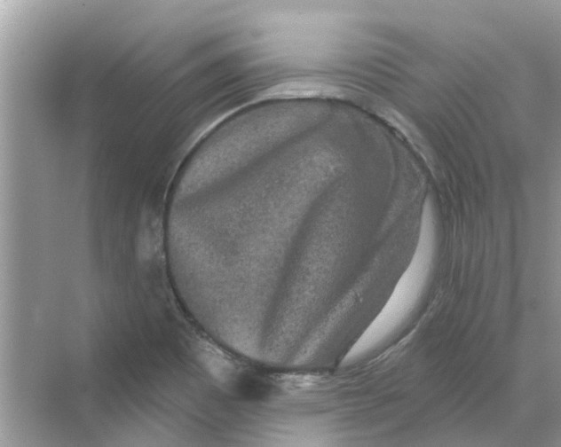 X0000069791465200606091730