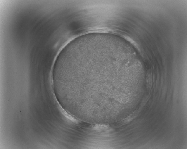 X0000069791466200606091730