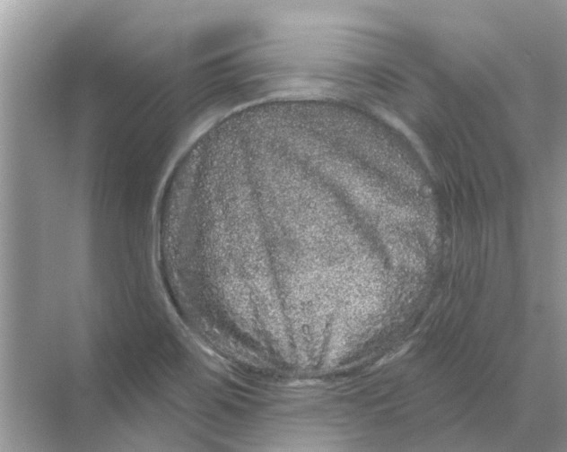 X0000069791467200606091730