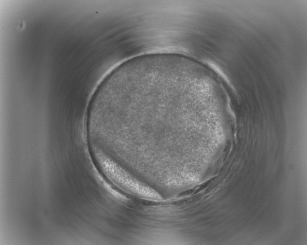 X0000069791468200606091730