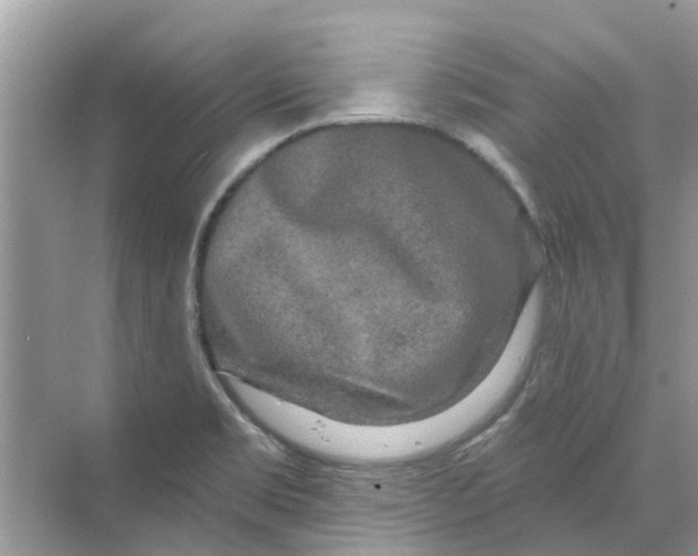 X0000069791469200606091730