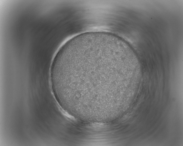 X0000069791470200606091730