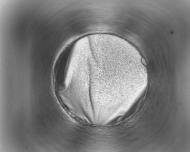 X0000069791472200606091730