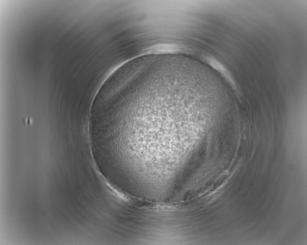 X0000069791473200606091730