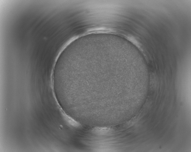 X0000069791474200606091730