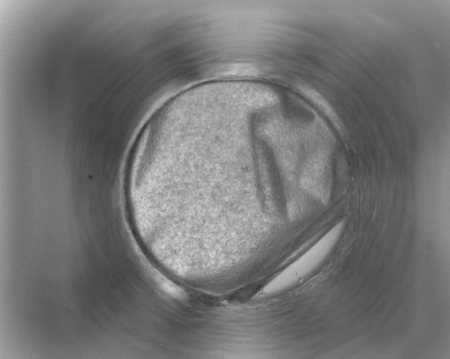 X0000069791475200606091730