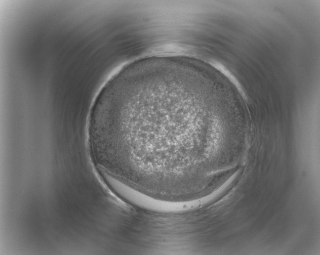 X0000069791477200606091730