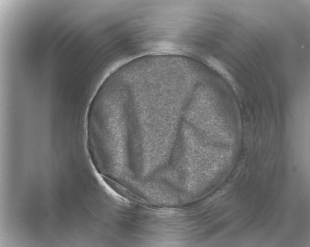 X0000069791479200606091730