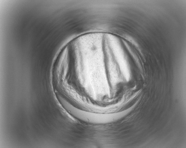 X0000069791480200606091730