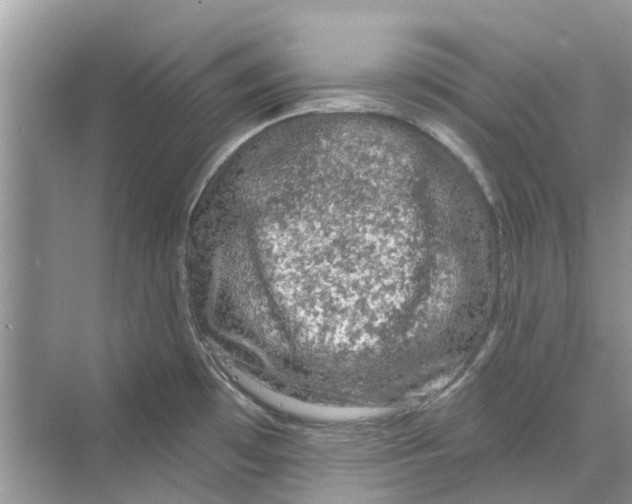 X0000069791481200606091730