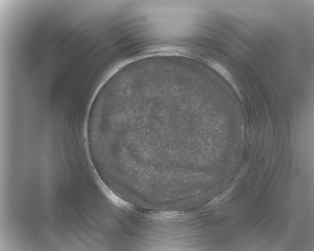 X0000069791482200606091730