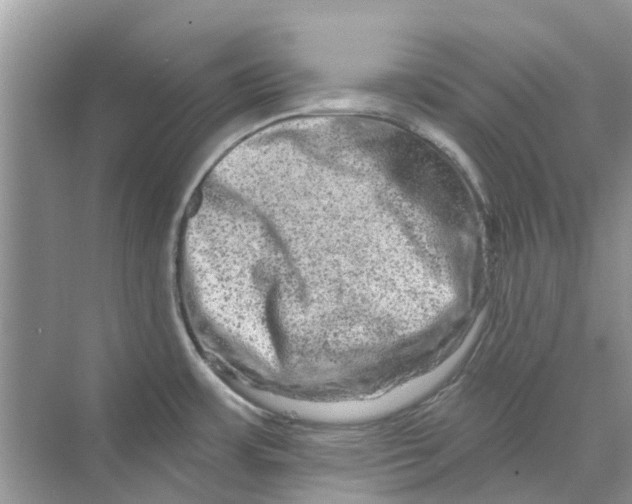 X0000069791483200606091730