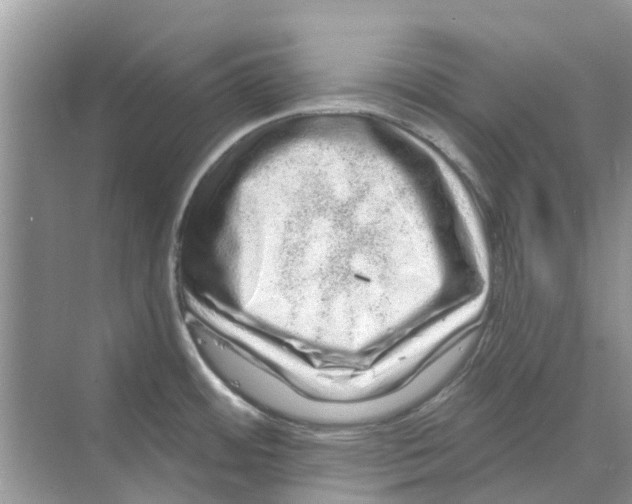 X0000069791484200606091730