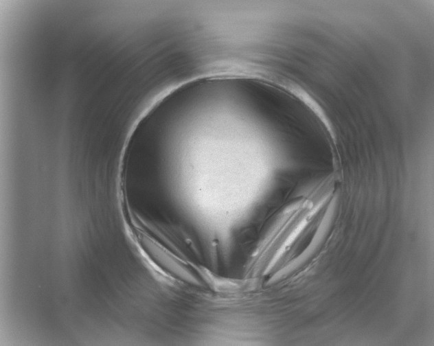 X0000069791485200606091730