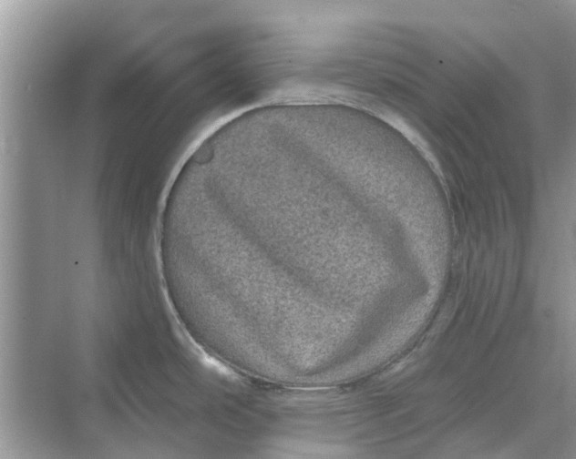 X0000069791486200606091730