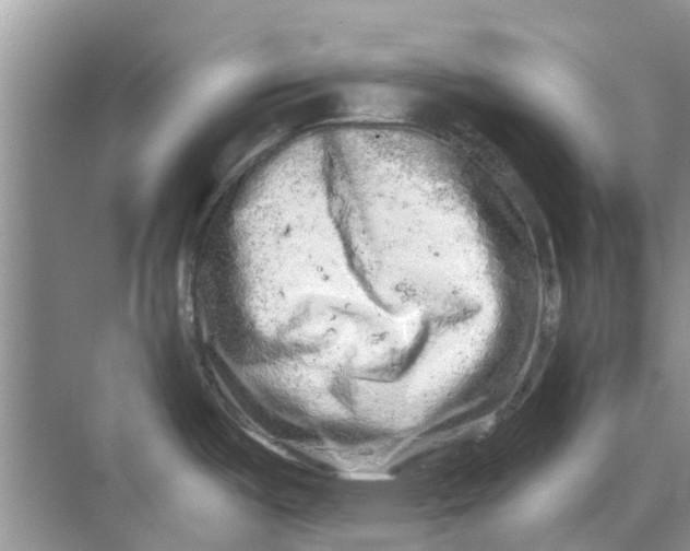 X0000069791487200606091730