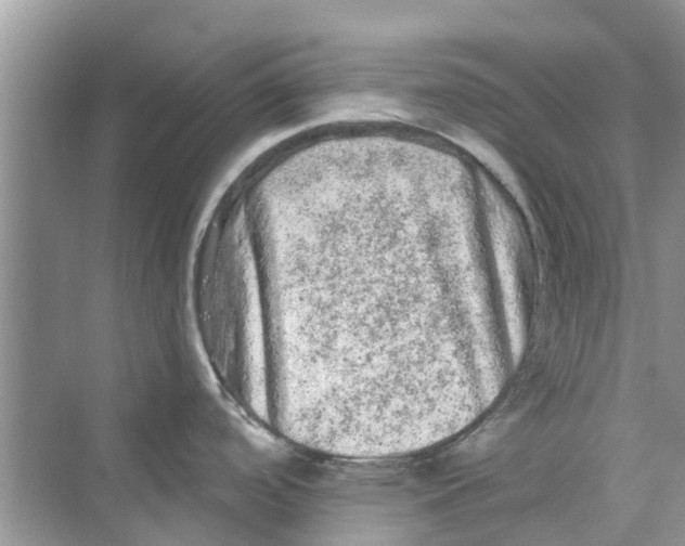 X0000069791488200606091730