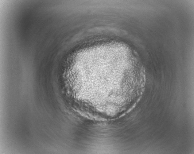 X0000069791489200606091729