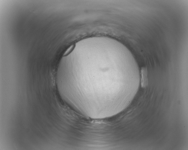 X0000069791491200606091729