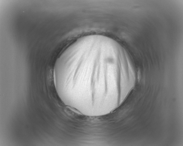 X0000069791492200606091729