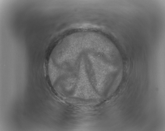 X0000069791493200606091729