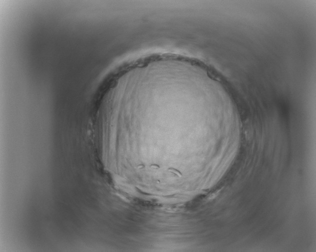 X0000069791495200606091729