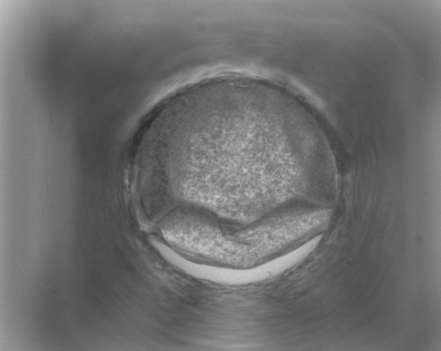 X0000069791496200606091729