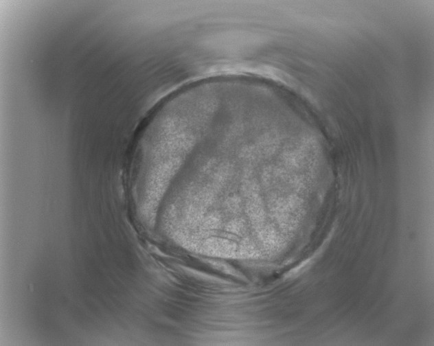 X0000069791497200606091729