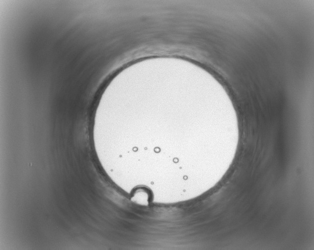 X0000069791498200606091729