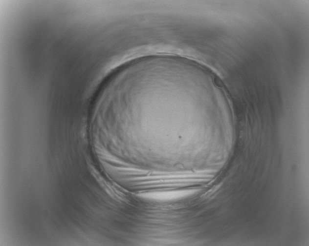 X0000069791499200606091729