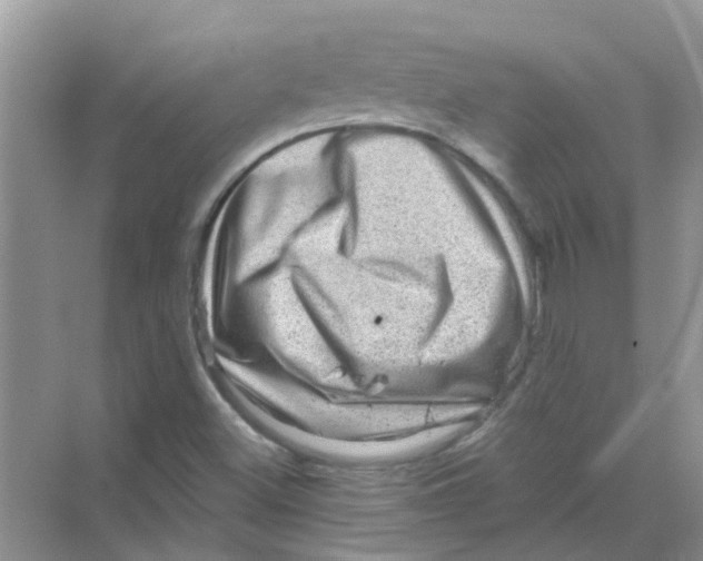 X0000069791500200606091729