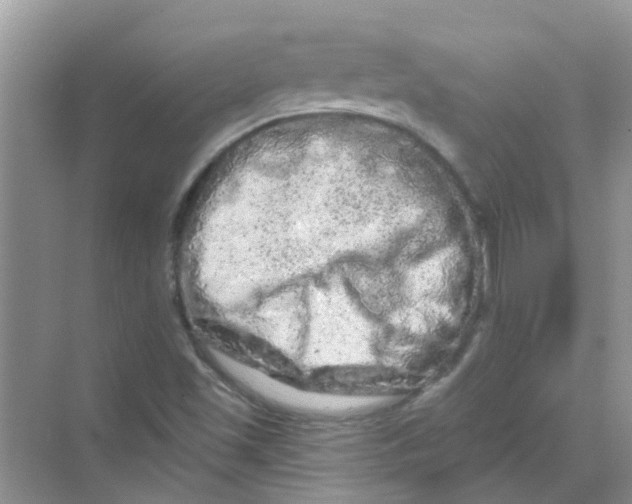 X0000069791501200606091729