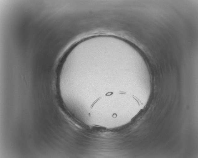 X0000069791502200606091729