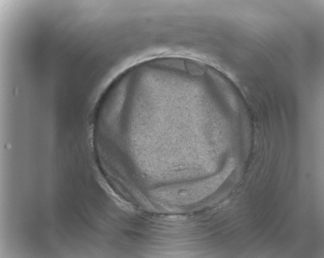 X0000069791503200606091729