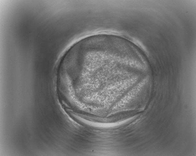 X0000069791504200606091729