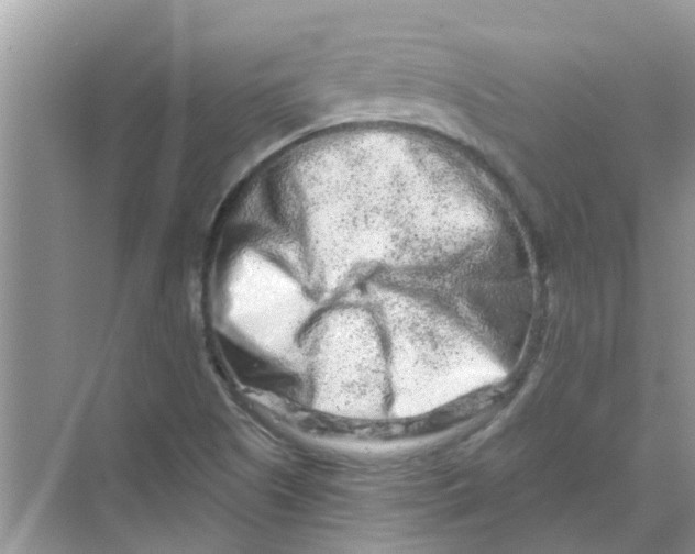 X0000069791505200606091729