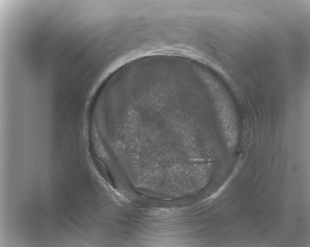 X0000069791506200606091729