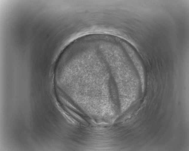 X0000069791507200606091729