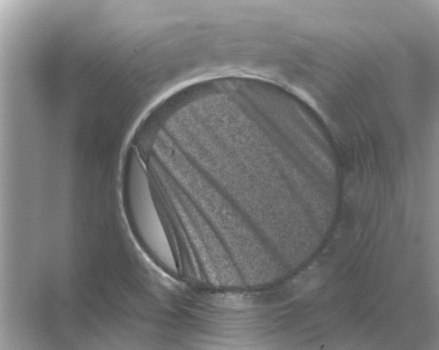 X0000069791508200606091729