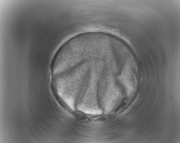 X0000069791509200606091729