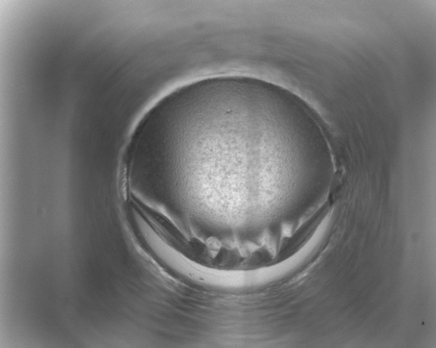 X0000069791510200606091729