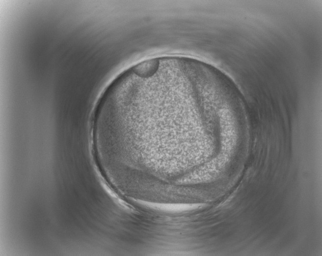 X0000069791511200606091729