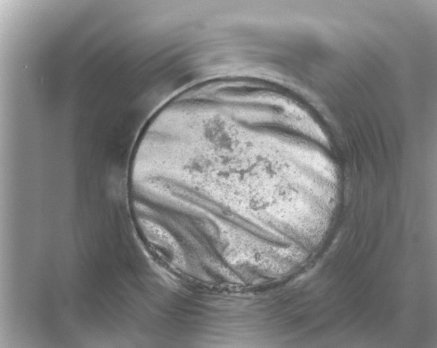 X0000069791513200606091729