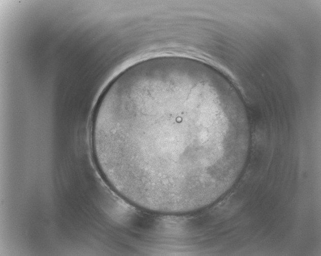 X0000069791514200606091729