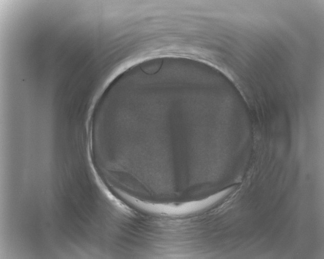 X0000069791515200606091729