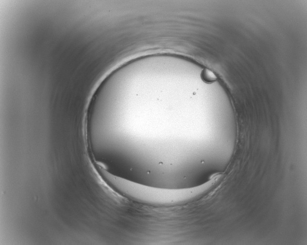 X0000069791516200606091729