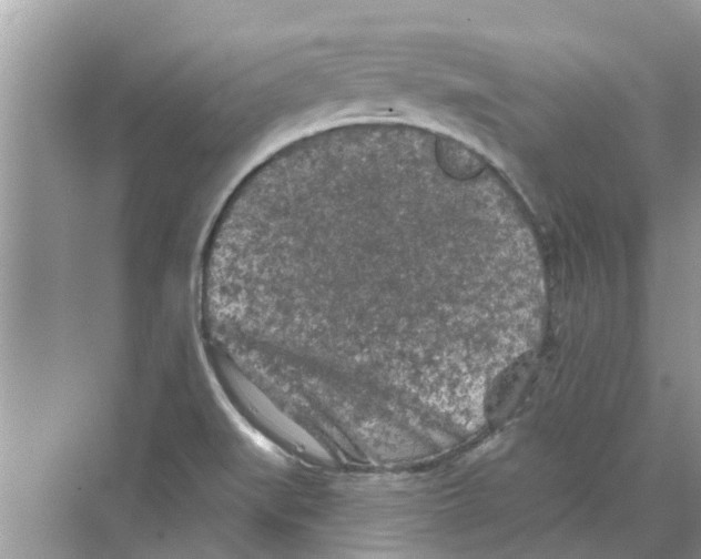 X0000069791519200606091730