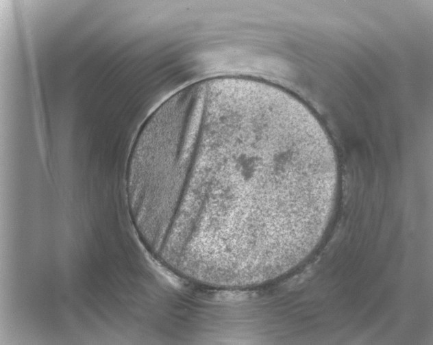 X0000069791521200606091730