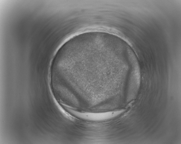 X0000069791523200606091730