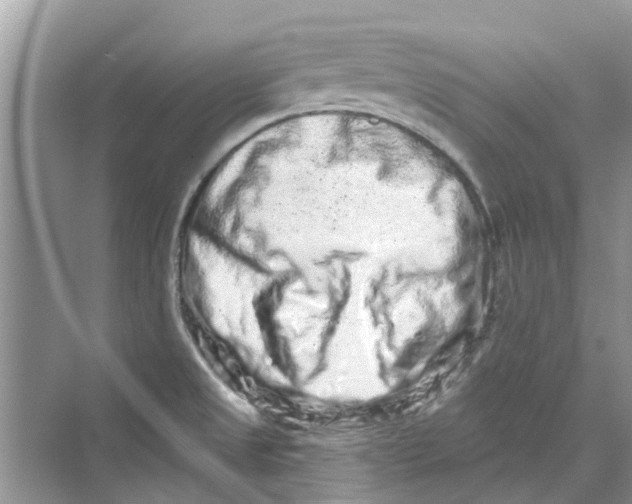 X0000069791525200606091730